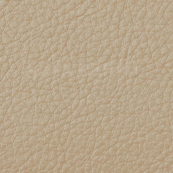 Mid Cream Leather Swatch